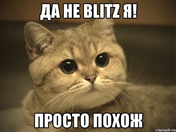 да не blitz я! просто похож, Мем Пидрила ебаная котик