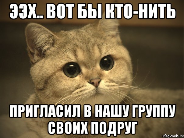 ээх.. вот бы кто-нить пригласил в нашу группу своих подруг, Мем Пидрила ебаная котик