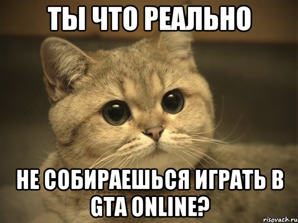 ты что реально не собираешься играть в gta online?, Мем Пидрила ебаная котик