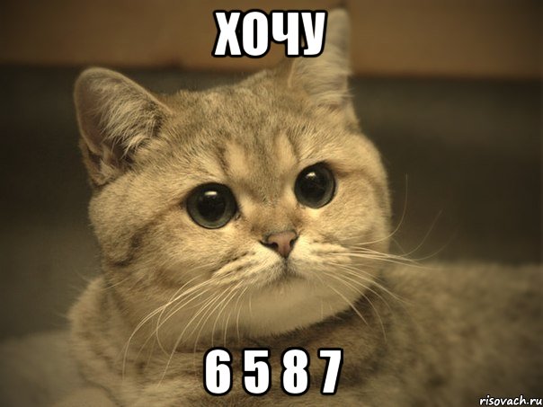 хочу 6 5 8 7, Мем Пидрила ебаная котик