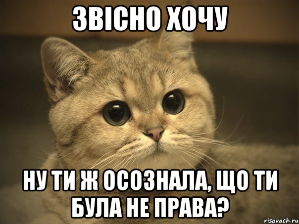 звісно хочу ну ти ж осознала, що ти була не права?, Мем Пидрила ебаная котик