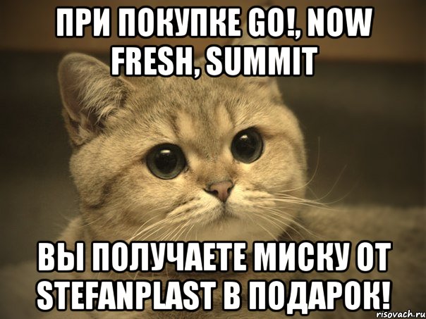 при покупке go!, now fresh, summit вы получаете миску от stefanplast в подарок!, Мем Пидрила ебаная котик