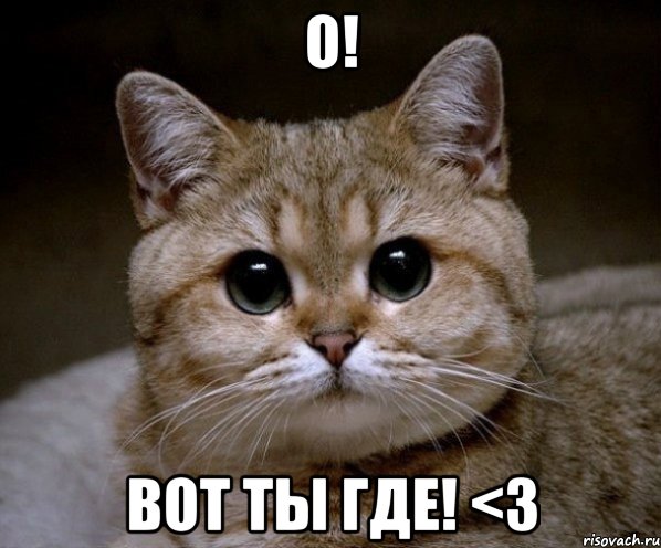 о! вот ты где! <3, Мем Пидрила Ебаная