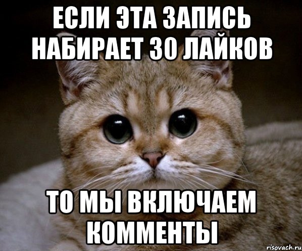 если эта запись набирает 30 лайков то мы включаем комменты, Мем Пидрила Ебаная