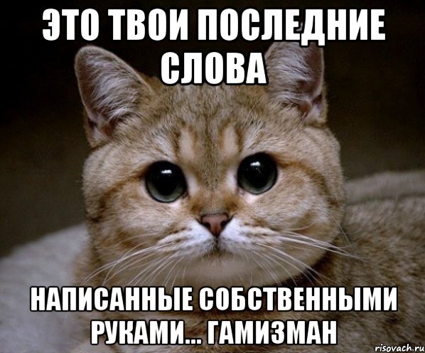 это твои последние слова написанные собственными руками... гамизман, Мем Пидрила Ебаная