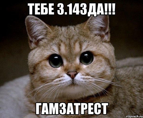 тебе 3.14зда!!! гамзатрест, Мем Пидрила Ебаная