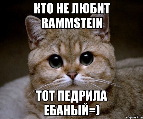 кто не любит rammstein тот педрила ебаный=), Мем Пидрила Ебаная