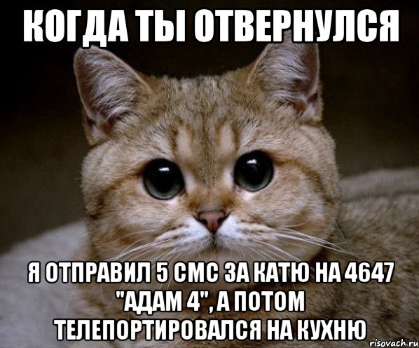 когда ты отвернулся я отправил 5 смс за катю на 4647 "адам 4", а потом телепортировался на кухню, Мем Пидрила Ебаная