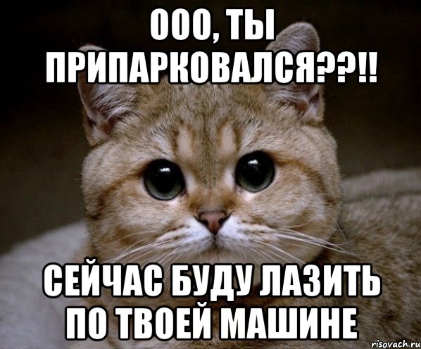 ооо, ты припарковался??!! сейчас буду лазить по твоей машине, Мем Пидрила Ебаная