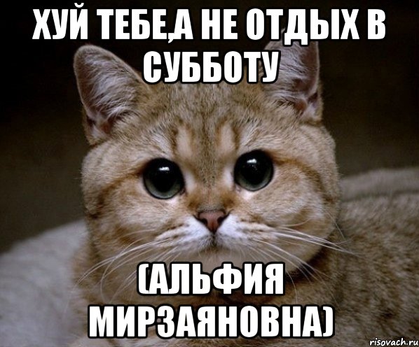 хуй тебе,а не отдых в субботу (альфия мирзаяновна), Мем Пидрила Ебаная