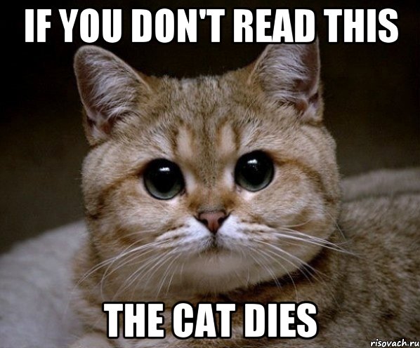 if you don't read this the cat dies, Мем Пидрила Ебаная