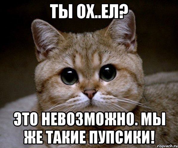 ты ох..ел? это невозможно. мы же такие пупсики!, Мем Пидрила Ебаная