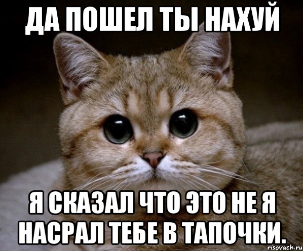 да пошел ты нахуй я сказал что это не я насрал тебе в тапочки., Мем Пидрила Ебаная