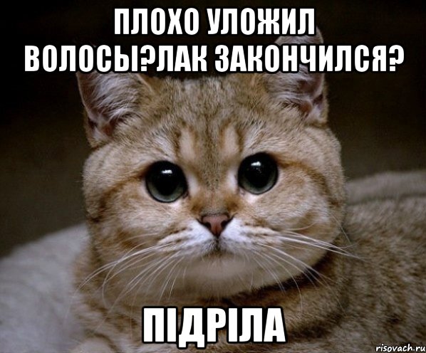 плохо уложил волосы?лак закончился? підріла, Мем Пидрила Ебаная