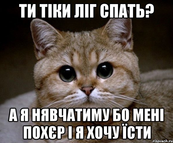 ти тіки ліг спать? а я нявчатиму бо мені похєр і я хочу їсти, Мем Пидрила Ебаная