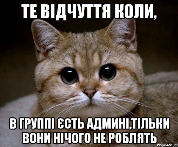 те відчуття коли, в группі єсть админі,тільки вони нічого не роблять, Мем Пидрила Ебаная