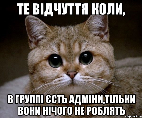 те відчуття коли, в группі єсть адміни,тільки вони нічого не роблять, Мем Пидрила Ебаная