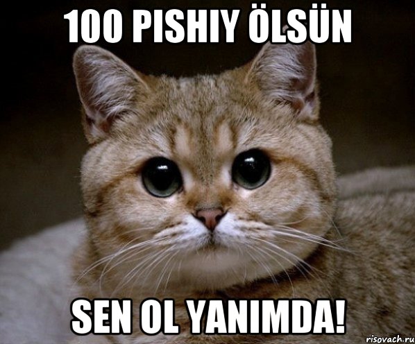 100 pishiy ölsün sen ol yanimda!, Мем Пидрила Ебаная