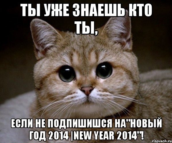 ты уже знаешь кто ты, если не подпишишся на"новый год 2014 |new year 2014"!, Мем Пидрила Ебаная