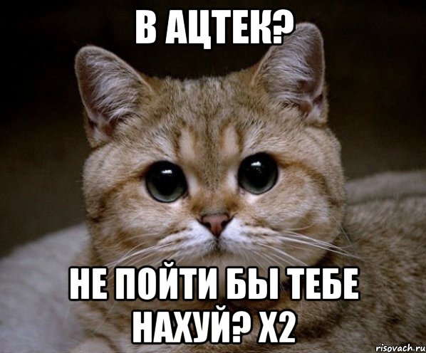 в ацтек? не пойти бы тебе нахуй? x2, Мем Пидрила Ебаная