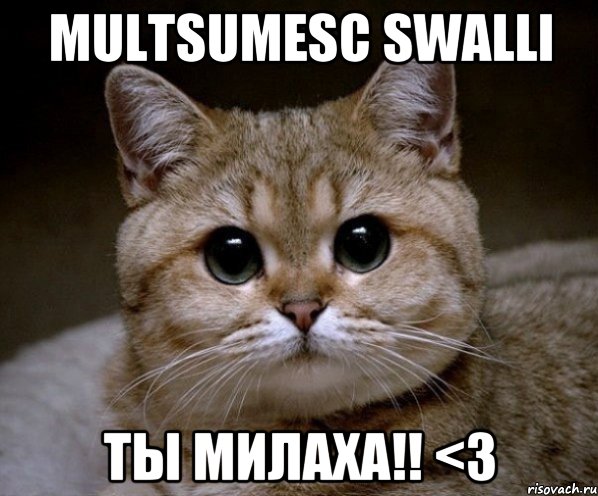 multsumesc swalli ты милаха!! <3, Мем Пидрила Ебаная