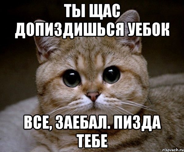 ты щас допиздишься уебок все, заебал. пизда тебе, Мем Пидрила Ебаная