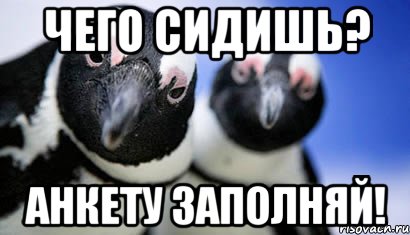 чего сидишь? анкету заполняй!