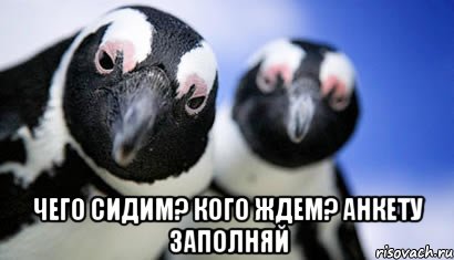  чего сидим? кого ждем? анкету заполняй