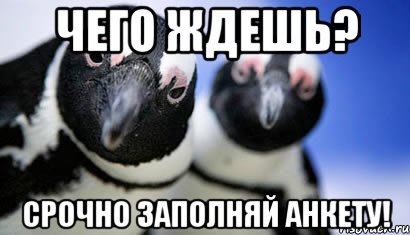 чего ждешь? срочно заполняй анкету!