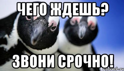 чего ждешь? звони срочно!