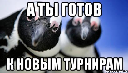 а ты готов к новым турнирам