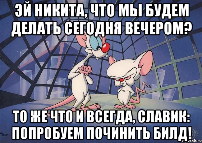 эй никита, что мы будем делать сегодня вечером? то же что и всегда, славик: попробуем починить билд!