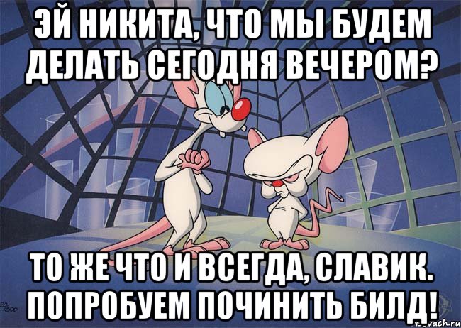 эй никита, что мы будем делать сегодня вечером? то же что и всегда, славик. попробуем починить билд!