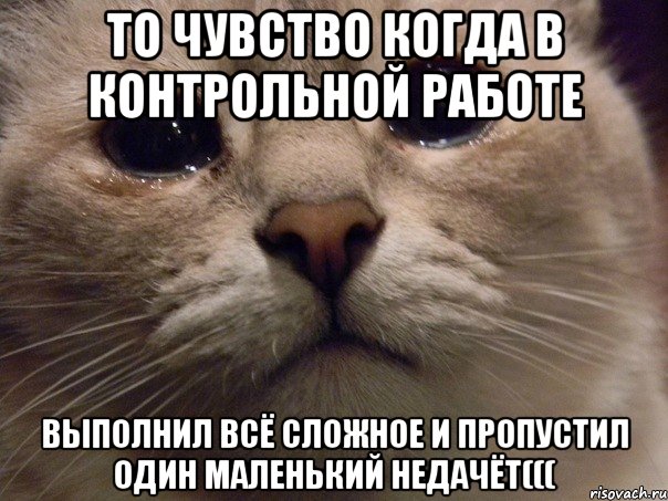 то чувство когда в контрольной работе выполнил всё сложное и пропустил один маленький недачёт(((, Мем   В мире грустит один котик