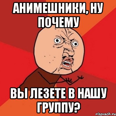 анимешники, ну почему вы лезете в нашу группу?, Мем Почему