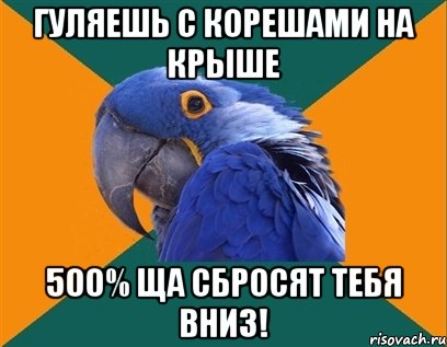 гуляешь с корешами на крыше 500% ща сбросят тебя вниз!, Мем Попугай параноик