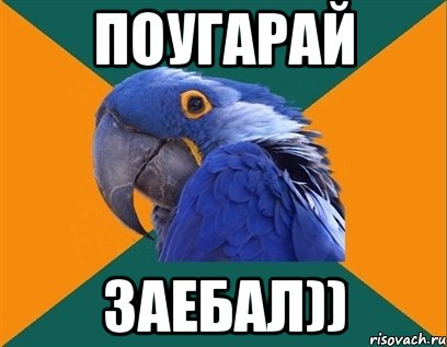 поугарай заебал)), Мем Попугай параноик