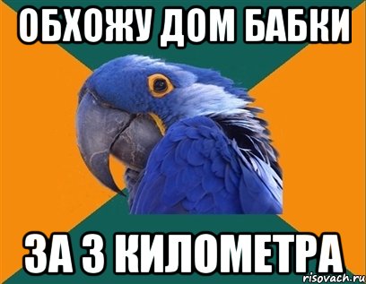 обхожу дом бабки за 3 километра, Мем Попугай параноик