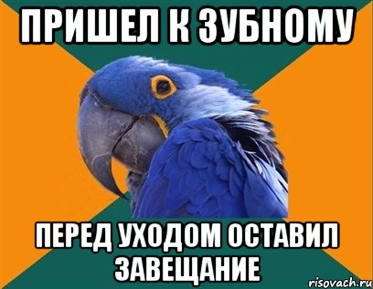 пришел к зубному перед уходом оставил завещание, Мем Попугай параноик