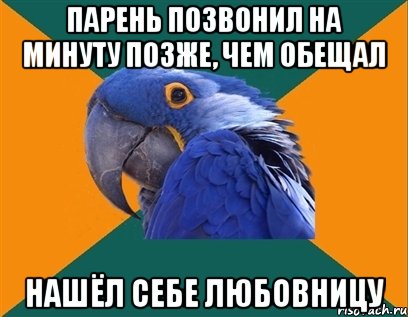 парень позвонил на минуту позже, чем обещал нашёл себе любовницу, Мем Попугай параноик