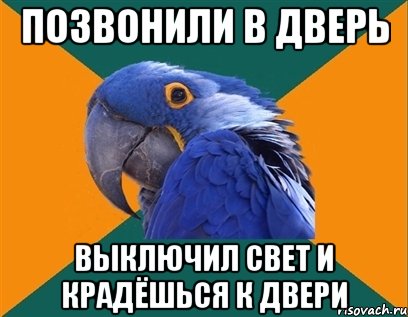 позвонили в дверь выключил свет и крадёшься к двери, Мем Попугай параноик