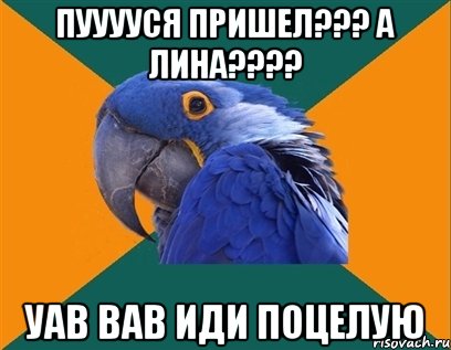 пууууся пришел??? а лина??? уав вав иди поцелую, Мем Попугай параноик