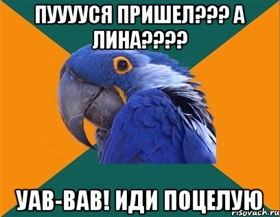 пууууся пришел??? а лина??? уав-вав! иди поцелую, Мем Попугай параноик