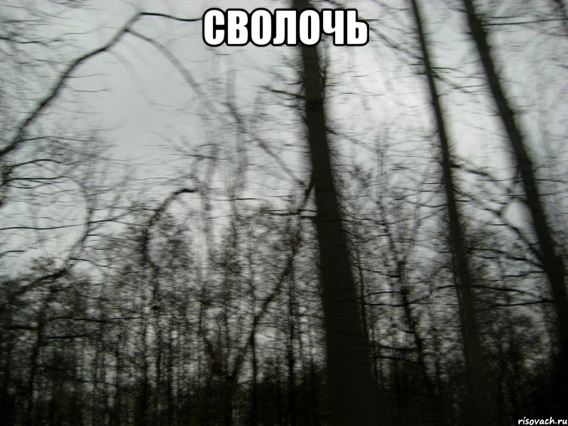 сволочь 