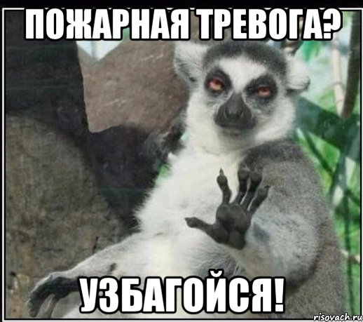 пожарная тревога? узбагойся!, Мем Все будет збагойно