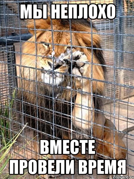 мы неплохо вместе провели время, Мем прощай друг прилетай ещё
