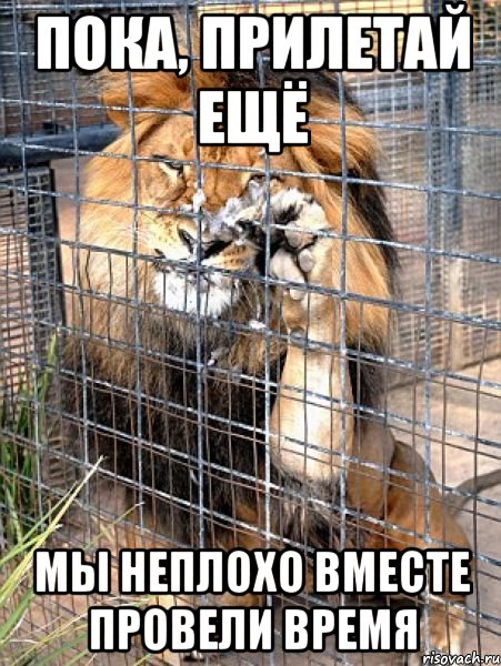 пока, прилетай ещё мы неплохо вместе провели время
