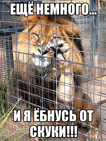 ещё немного... и я ёбнусь от скуки!!!, Мем прощай друг прилетай ещё