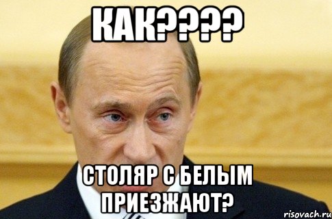 как??? столяр с белым приезжают?, Мем путин