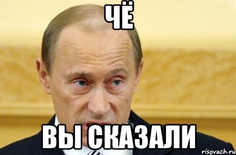 чё вы сказали, Мем путин